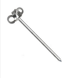 Slupkové, velká hlava